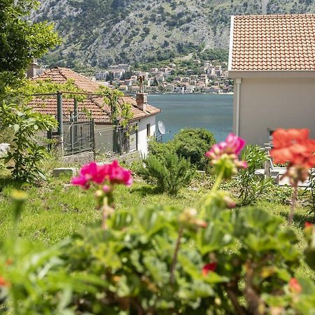 Muo Sea Front Apartments Kotor Buitenkant foto