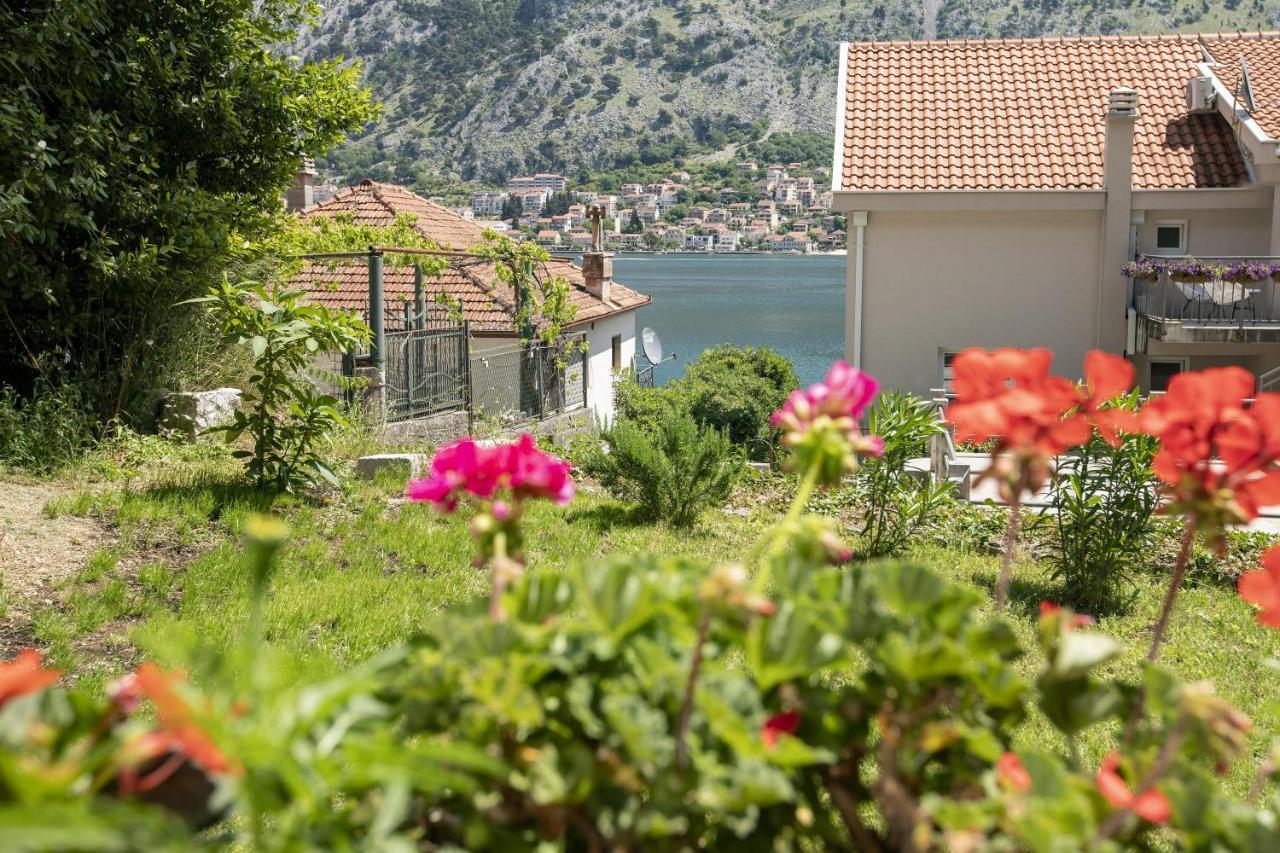 Muo Sea Front Apartments Kotor Buitenkant foto