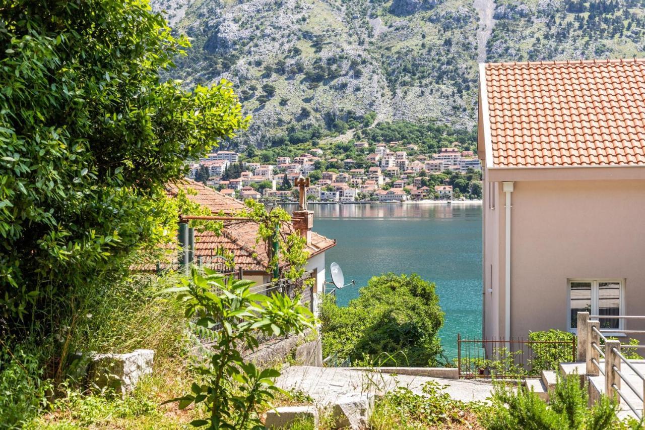 Muo Sea Front Apartments Kotor Buitenkant foto